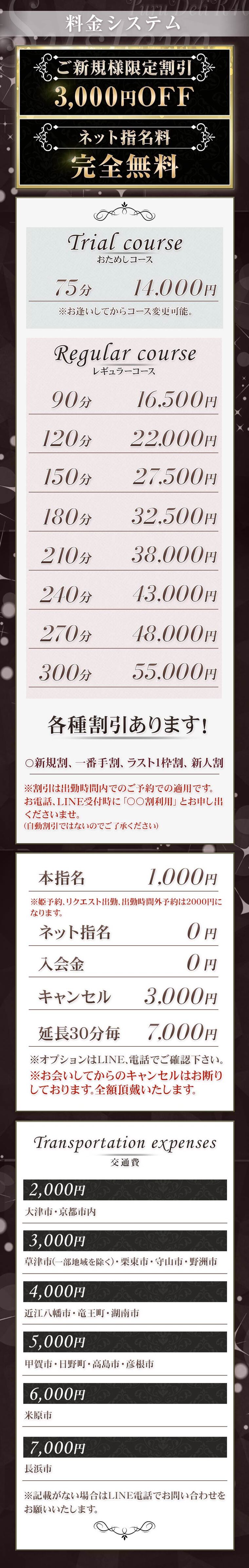 プルデリR40滋賀店　の料金システム